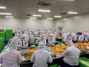 gia công trái cây sấy dẻo và hạt dinh dưỡng