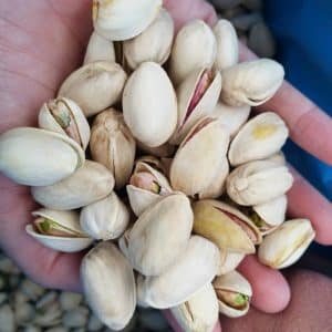 Hạt dẻ cười bao nhiêu tiền 1kg