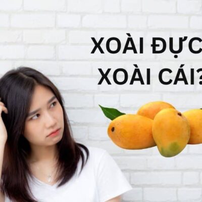 Xoài sấy dẻo 100g, 200g, 500g, 1kg - Chất lượng xuất khẩu