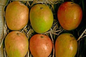 Xoài Alphonso - Vua của các loại xoài: Hương vị tuyệt hảo từ Ấn Độ