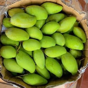 Xoài bao tử - Loại xoài non mới lạ đầy hấp dẫn