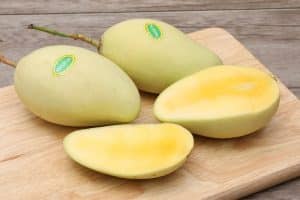 Xoài Cát Chu: Vị ngọt "chu sa" níu chân người lữ khách