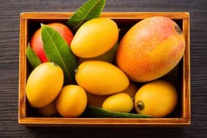 Ăn xoài có béo và nóng không? Giải đáp chi tiết về xoài