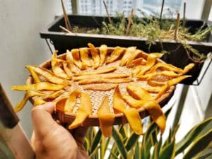 Cách Làm Xoài Sấy Dẻo Siêu Đơn Giản Tại Nhà
