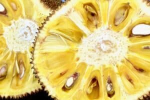 Người Bệnh Tiểu Đường Có Ăn Được Mít Không? Giải Mã Từ Chuyên Gia