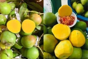 Xoài Táo: Giống Xoài Độc Đáo Với Hình Dáng Như Quả Táo