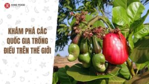 Hạt điều được trồng nhiều ở đâu