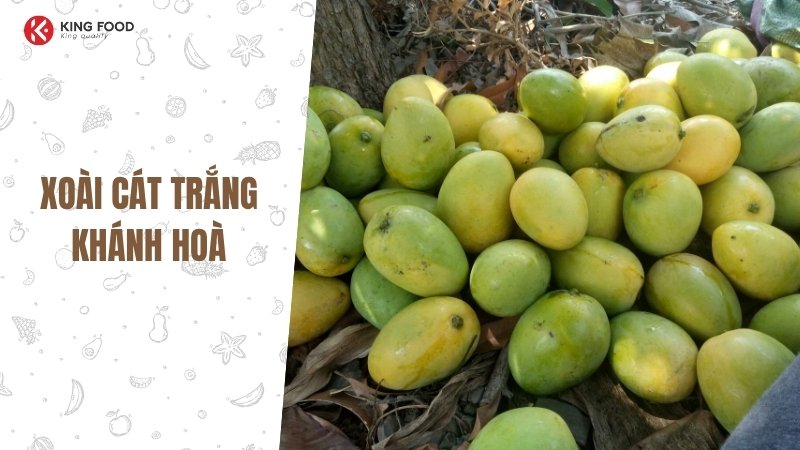 Hướng dẫn cách bóc hạt điều tại nhà đúng chuẩn và an toàn
