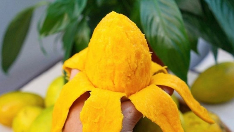 Hướng dẫn cách bóc hạt điều tại nhà đúng chuẩn và an toàn