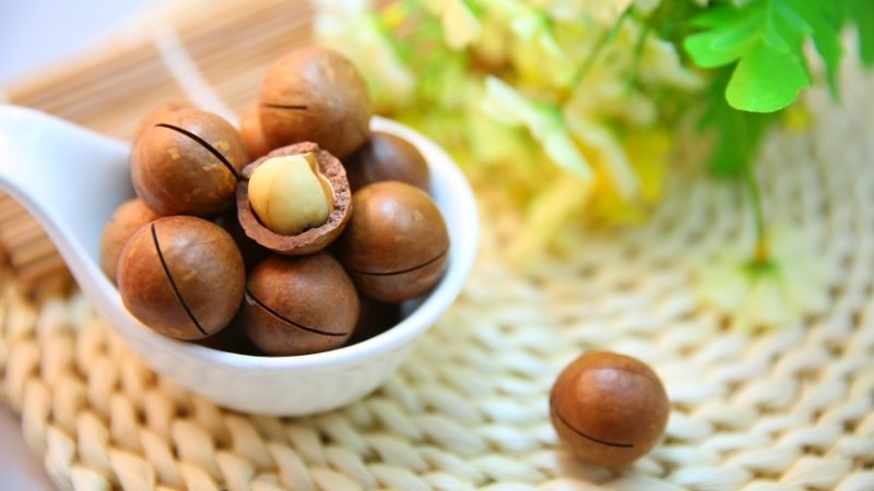Ăn hạt macca có béo không