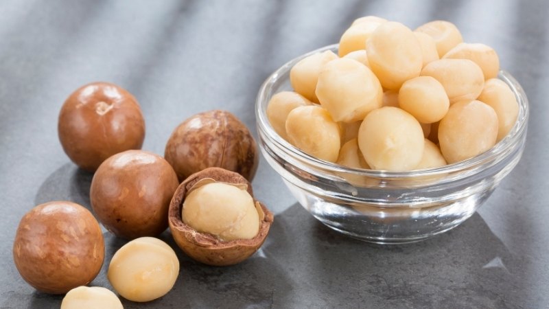 Ăn hạt macca có béo không