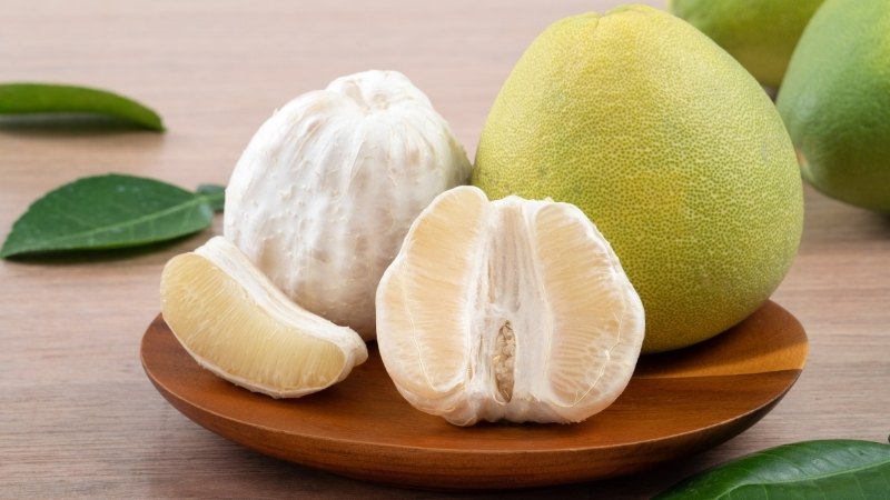 Bé mấy tháng uống được nước cam? Đọc ngay để mẹ không còn băn khoăn