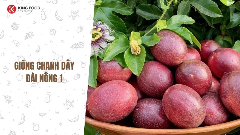 Giống chanh dây Đài Loan ngọt lịm và bí quyết trồng cho năng suất vượt trội