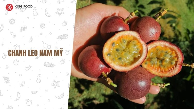 Uống nước cam với sữa chua có tốt không?