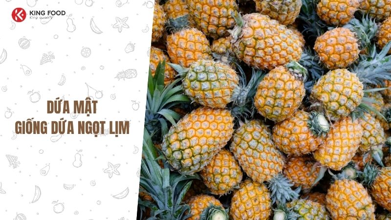 Ổi găng: "Nữ hoàng" của món chấm muối ớt, giòn tan trong từng miếng cắn