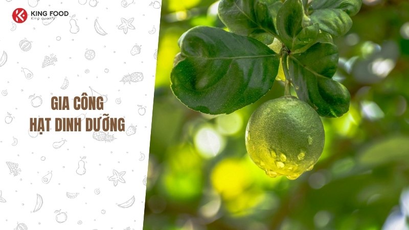 Đau dạ dày có ăn được bưởi không? Lời giải đáp chi tiết và khoa học nhất