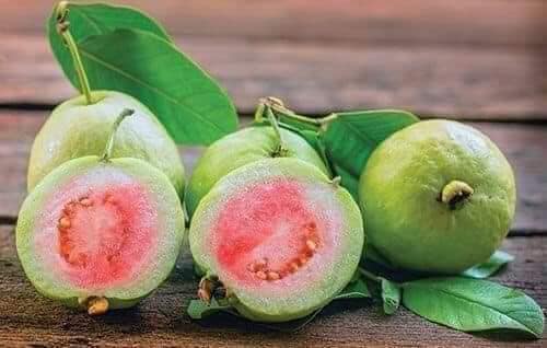 Nuốt hạt cam có sao không? Lời giải đáp khoa học cho nỗi lo thường gặp