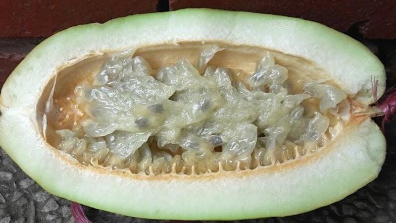 Uống nước cam với sữa chua có tốt không?