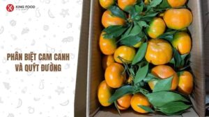 Cam Canh có phải là quýt không