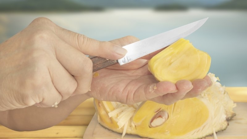 Mít để ngăn đá được không