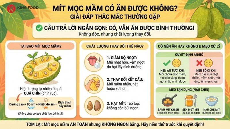 Mít mọc mầm
