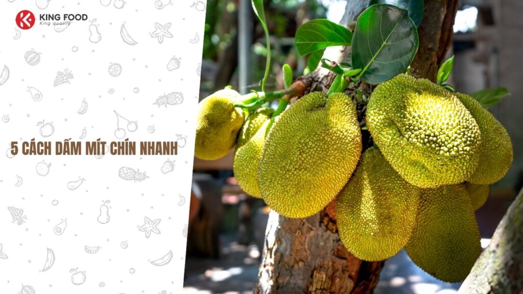 Uống nước cam có nóng không?