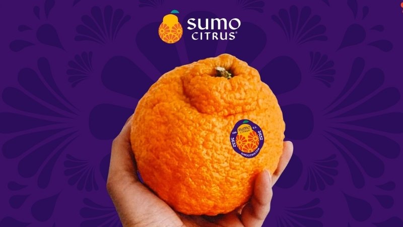 Bé bị ho có nên uống nước cam không?