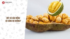 Mít và sầu riêng