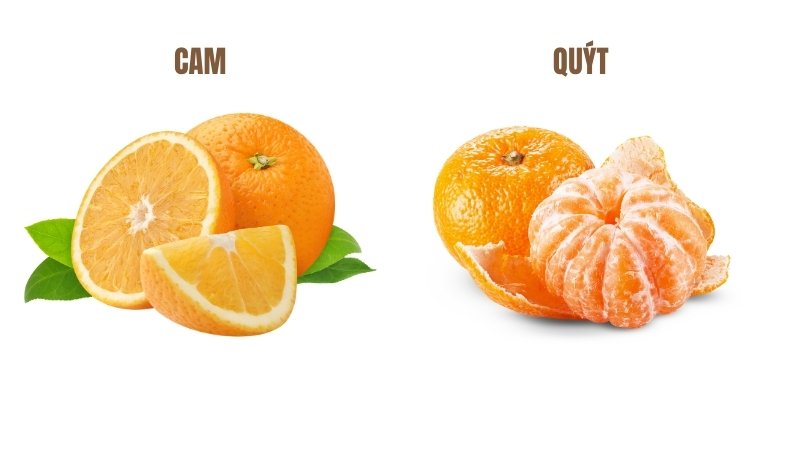 Ổi nhiều Vitamin C hơn cam không? Sự thật bất ngờ